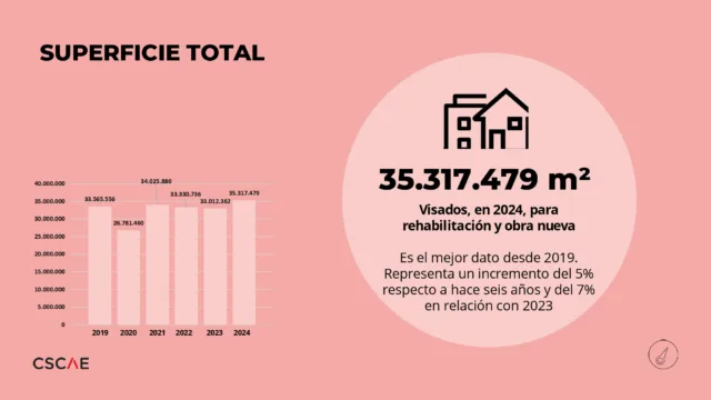informe visado balance 2024 islas canarias page 0013