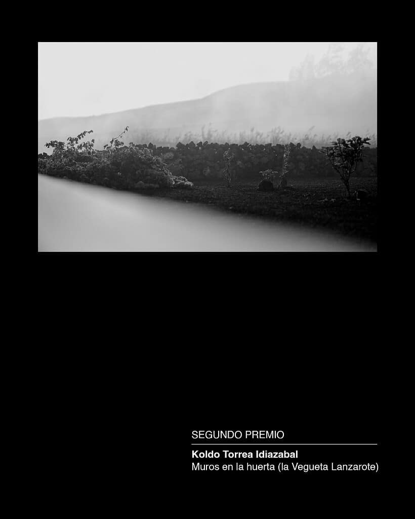 concurso-fotografia-coalz-2025-2